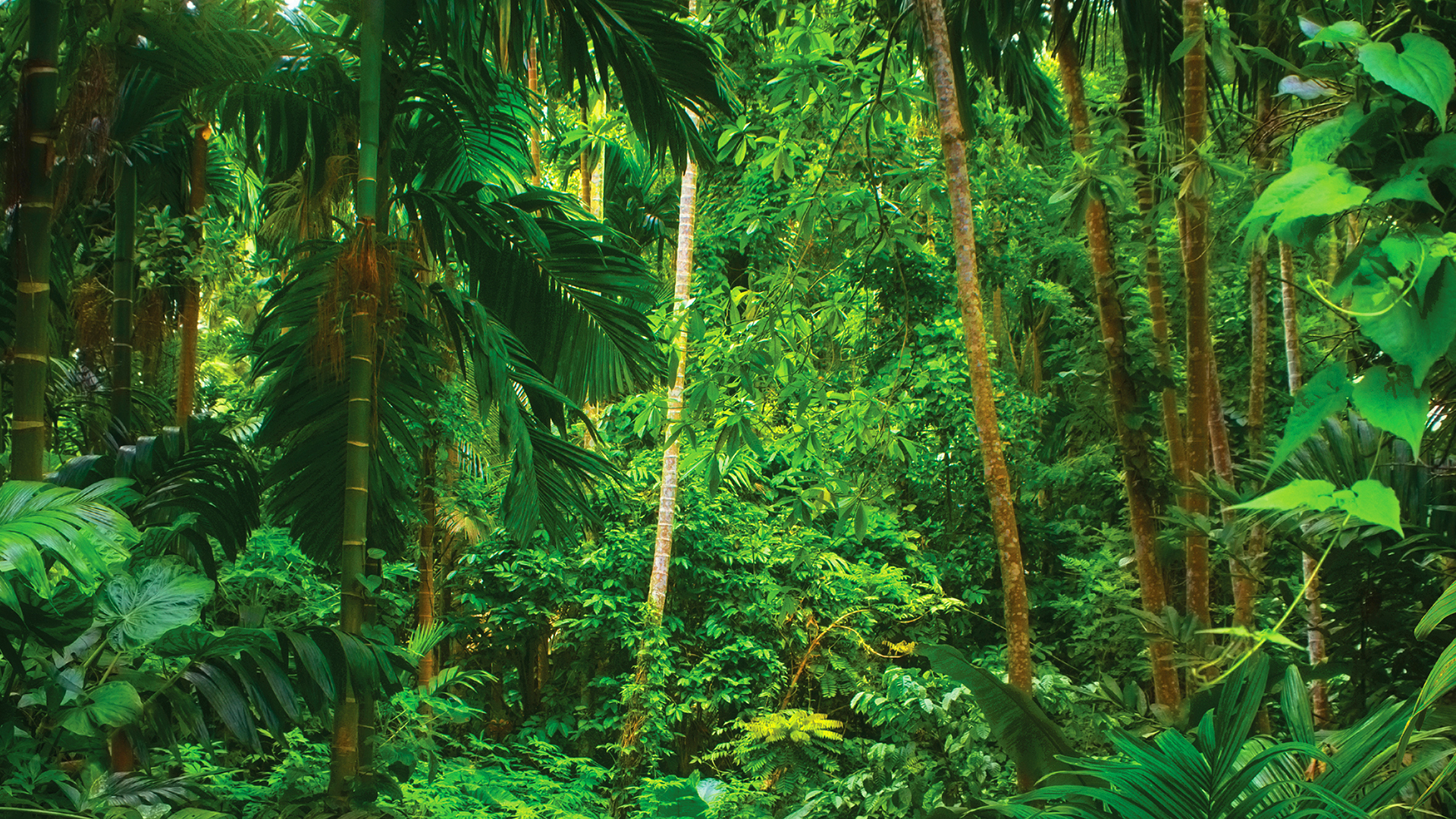 MET MTF Nyitóoldal 1920X1080 01.1