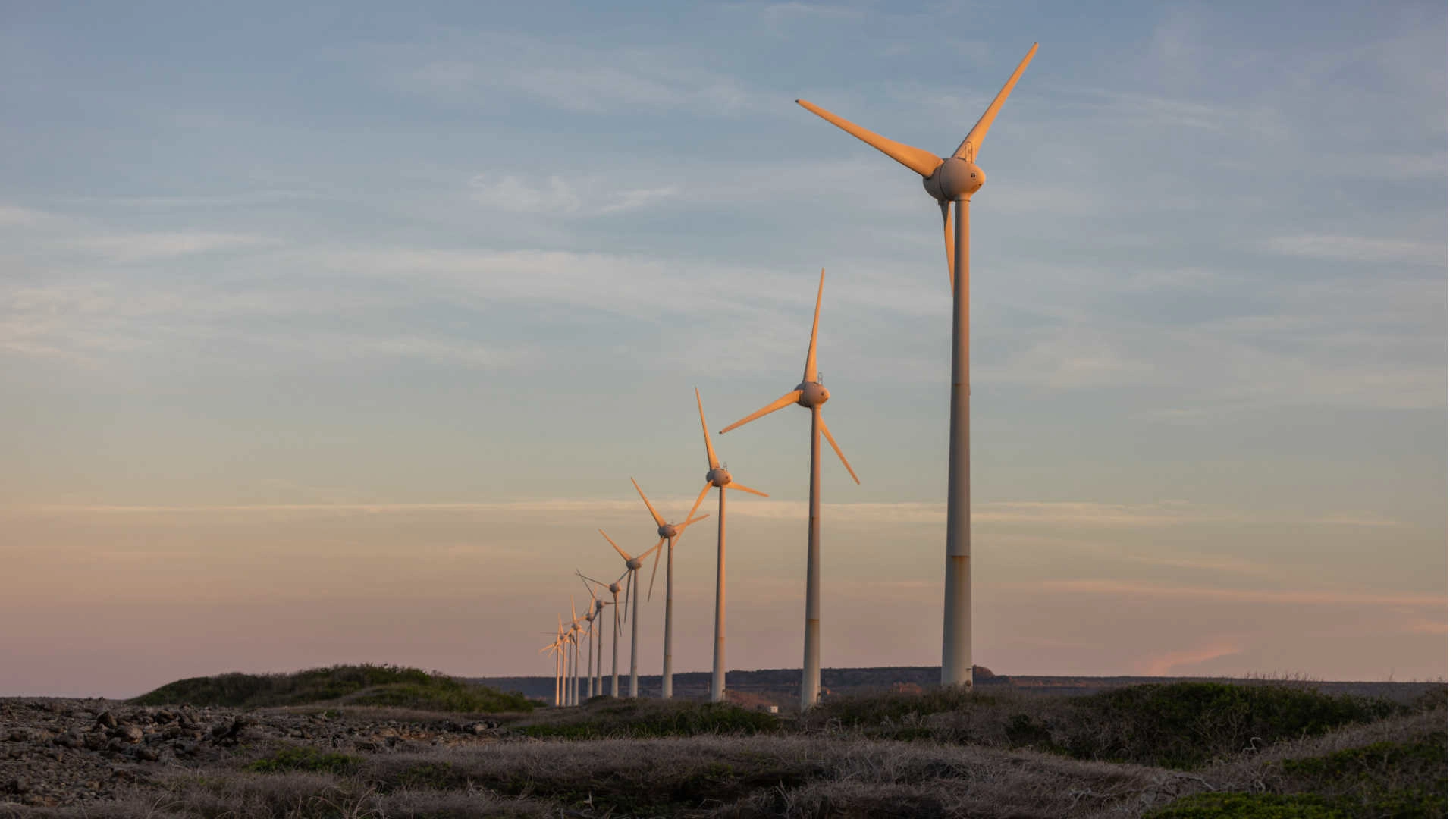Az EU-ban egyre több és több szélerőmű biztosítja a fenntartható energiát.