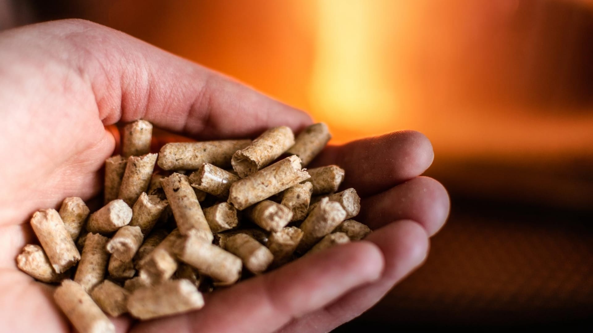Az energianövények termesztése a biomassza egyik legfontosabb területe.