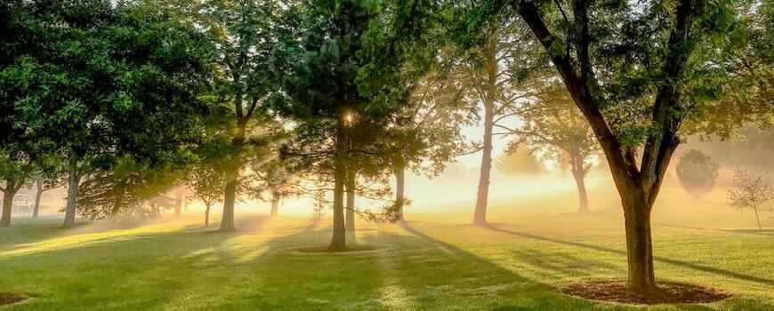 KARBONSEMLEGESSÉG 1