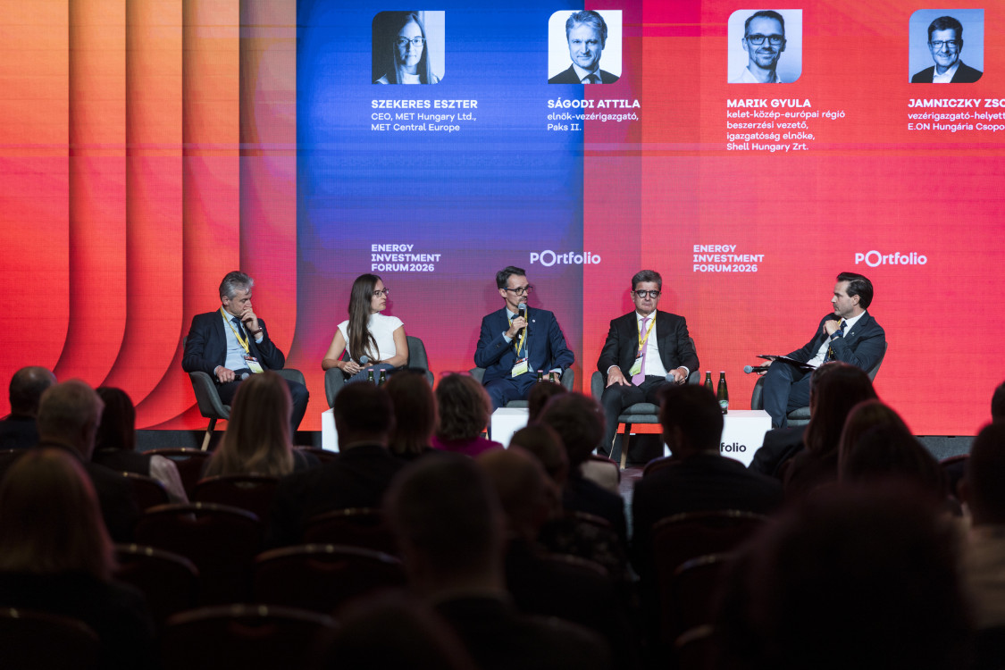 Vezetoipanel1 860652