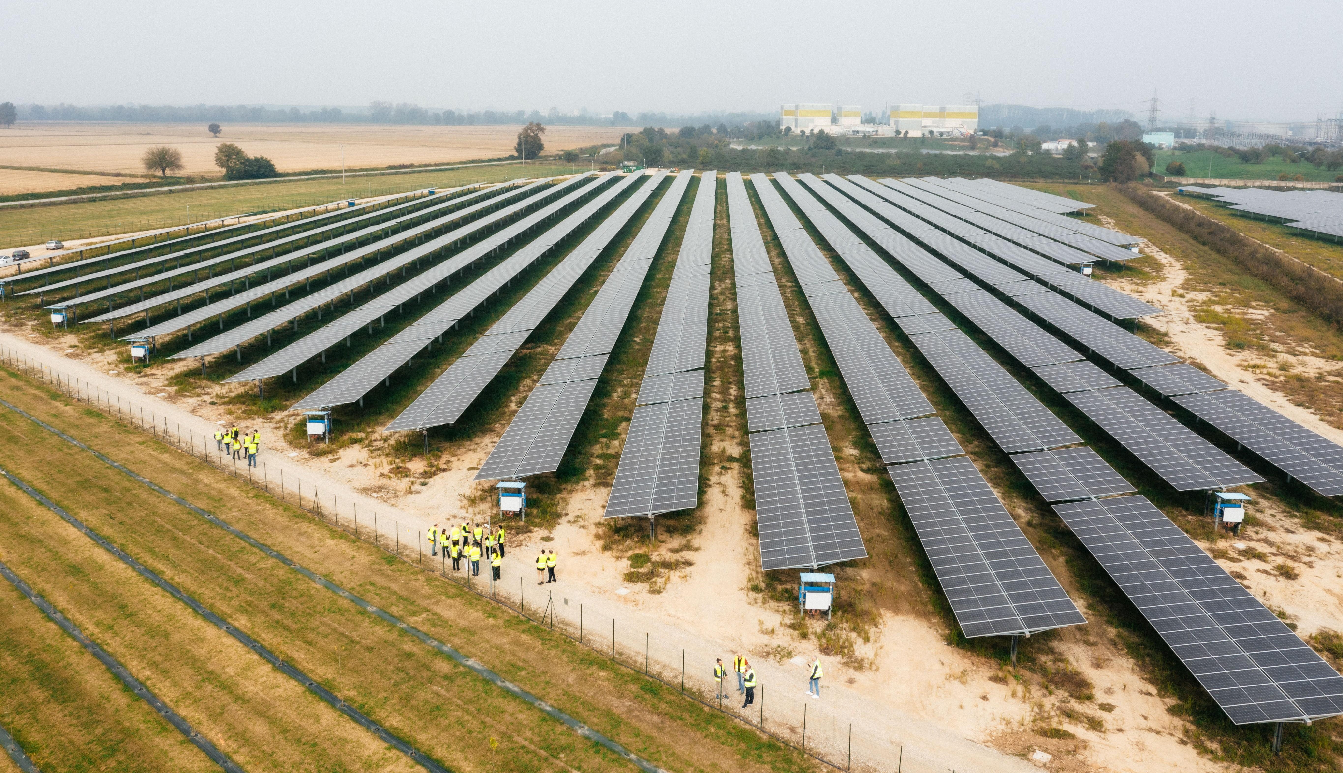 Ferrera MET Group Photo Website