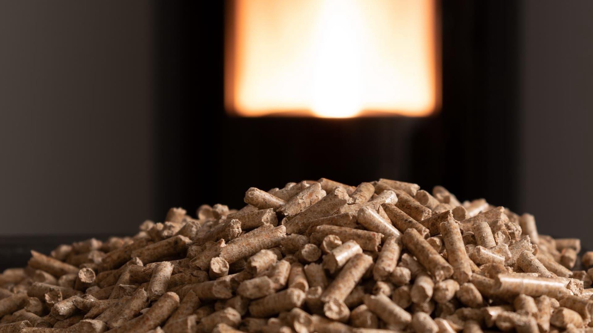 A biomassza akár emberi kéz által is előállítható.